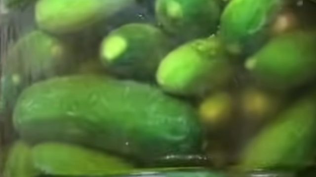 Salatalık Turşusu Nasıl Yapılır? Salatalık Turşusu Tarifi