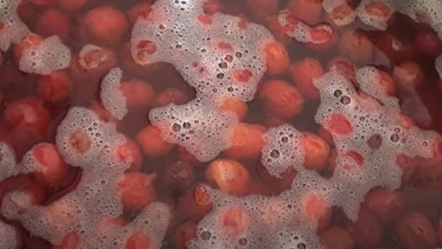 Kızılcık Kompostosu Tarifi