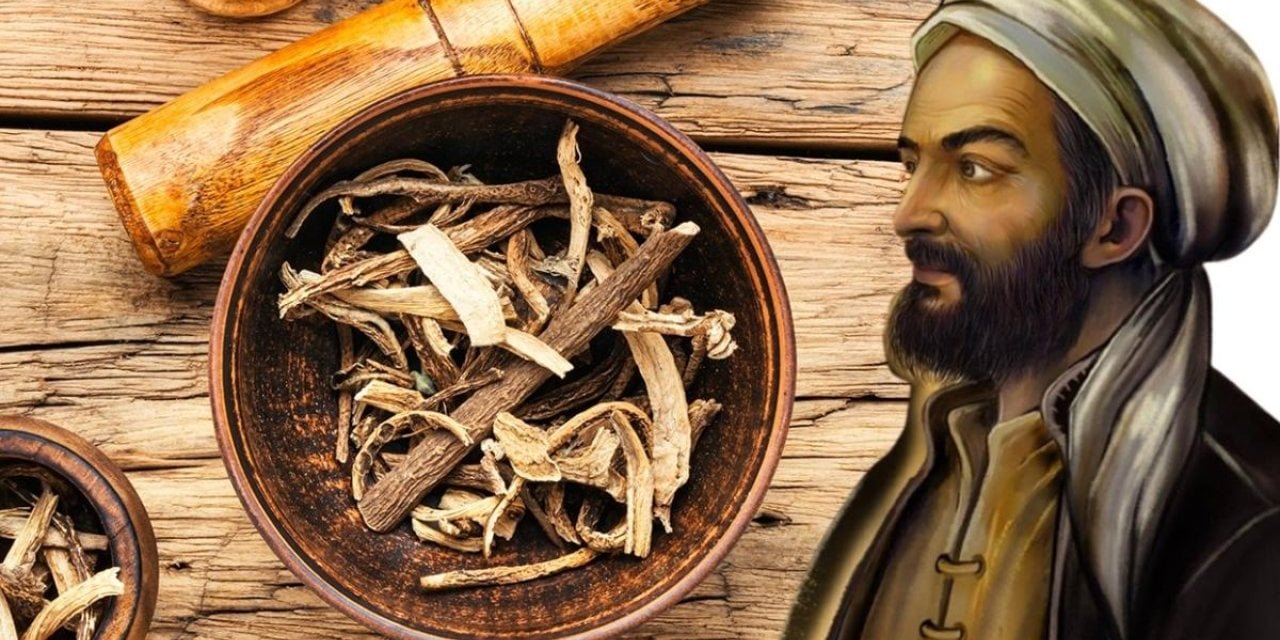 İbn-i Sina'nın önerdiği en şifalı bitki! Kendiliğinden yetişiyor - akciğerleri ise pırıl pırıl yapıyor