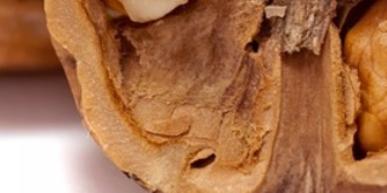 Saç dökülmesini durduğu kanıtlandı - Çöp diye attığımız hazine elimizin altındaymış