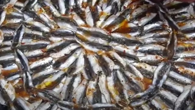 Koku yapmadan. Hamsi Buğulama Tarifi