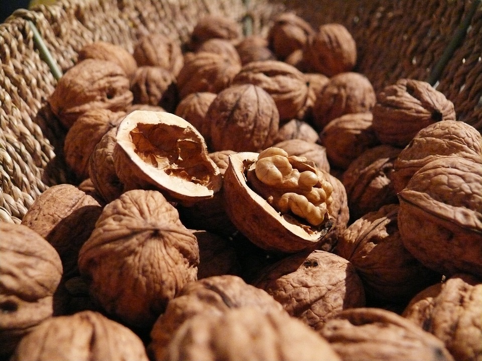walnuts-498095-960-720.jpg